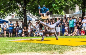 Festival des 5 Continents