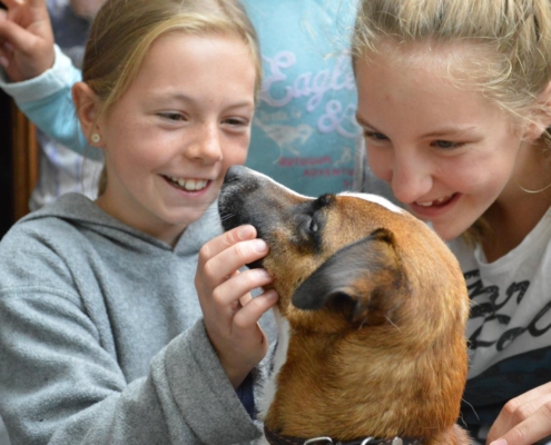 Zirkuswochen 2016, Tschüdanga