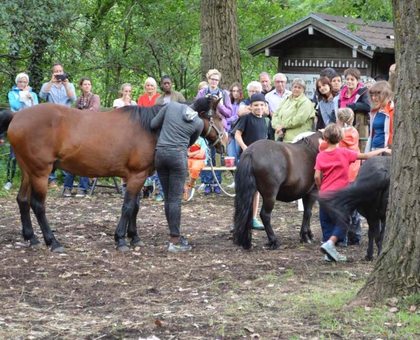 Zirkuswochen 2016, Tschüdanga