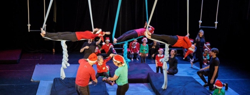 Festival encirqué - Compagnie Digestif